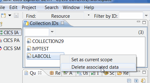 screen capture of the collection ids window that shows a collection id highlighted showing the menu options, Set as current scope, and delete associated data.