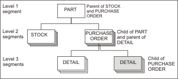 This diagram shows the hierarchical data structure of IMS. The PART segment is parent of the STOCK and PURCHASE ORDER segments, and the PURCHASE ORDER segment is parent of the DETAIL segments.