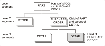 この図は IMS の階層データ構造を示しています。PART セグメントは STOCK および PURCHASE ORDER セグメントの親であり、PURCHASE ORDER セグメントは DETAIL セグメントの親です。