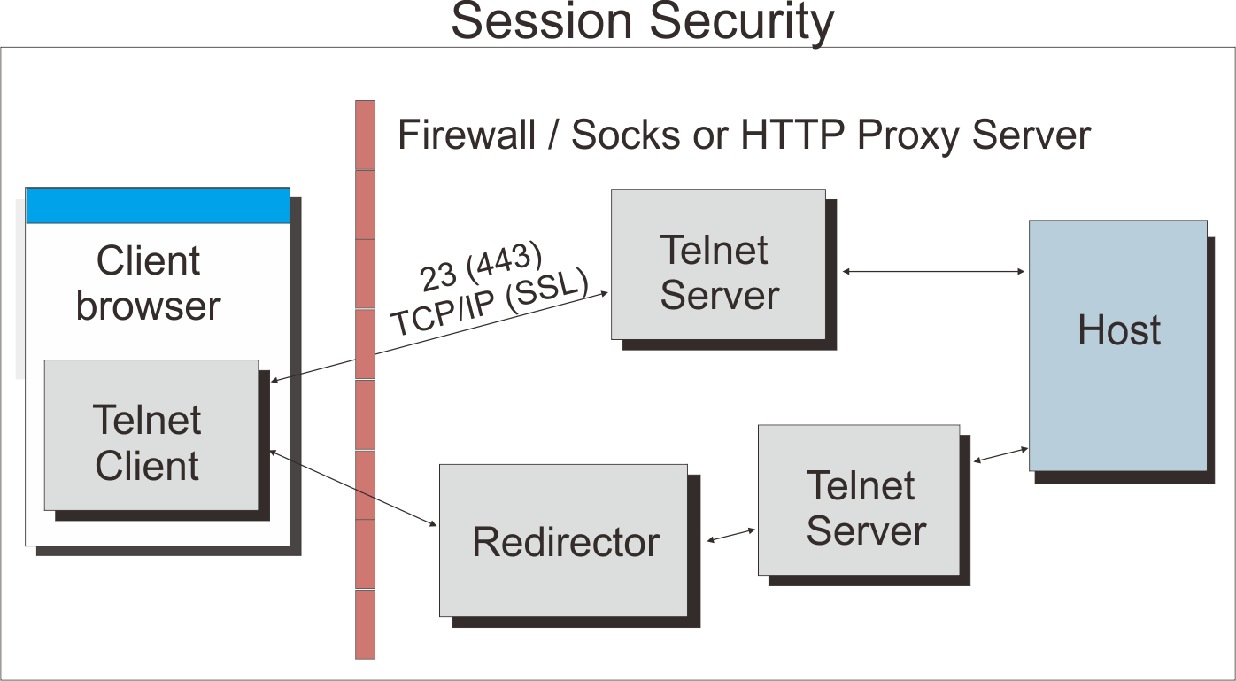 top Session security through a firewall or proxy server