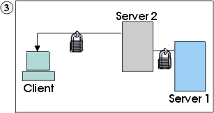 Server requests and creates its own SSL session
