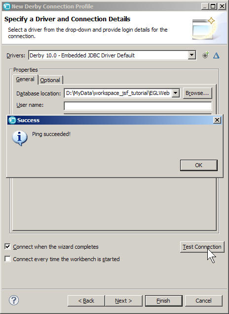 The Specify a Driver and Connection Details window shows a successful connection