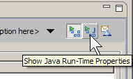 The Run-Time Properties button.