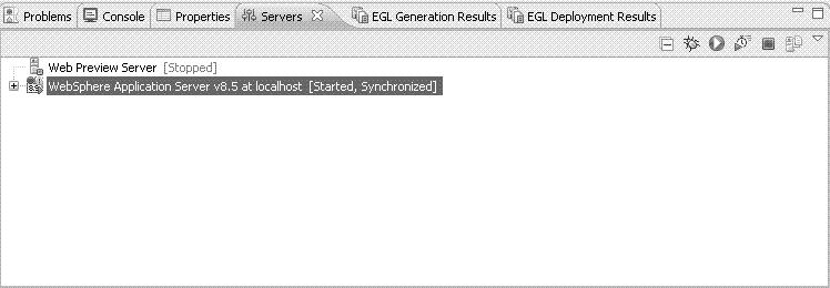 The Servers view with the server started