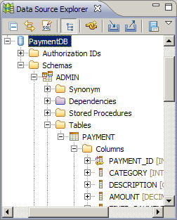 The column names are under Schemas/APP/Tables/PAYMENT/Columns.