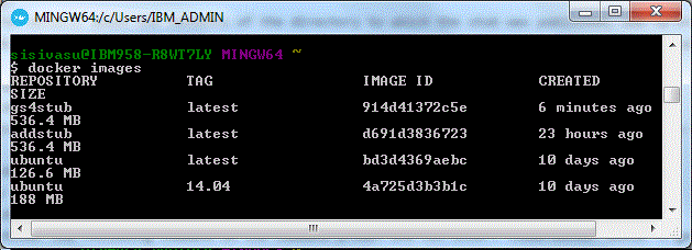Image of the command window showing the docker images.