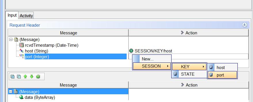 A UDP transport is shown, with the SESSION/KEY/host tag specified in the Action column.