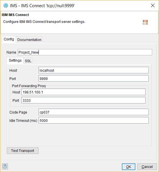 Image of the New IMS Connect window.