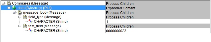 The data field is expanded.