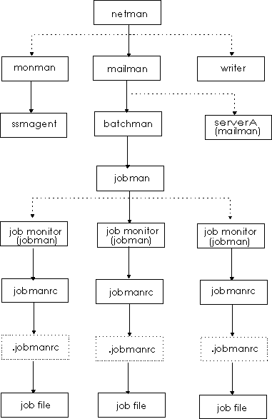 This picture displays the IBM Workload Scheduler process tree in UNIX workstations.